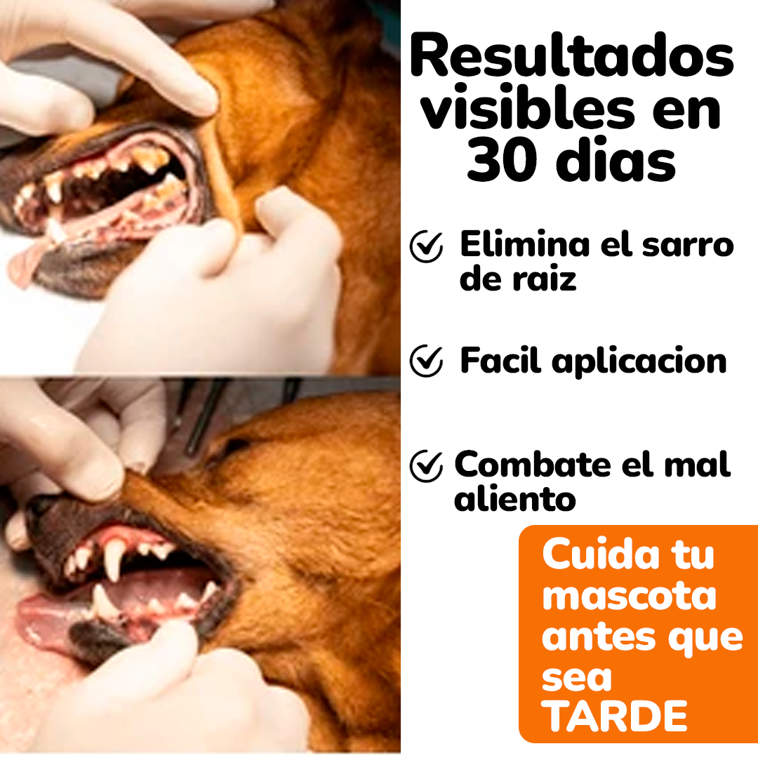 Wuuf Fresh Breath – Aliento Limpio, Boca Sana y Más Cariños sin Olor