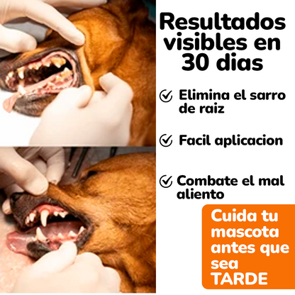 Wuuf Fresh Breath – Aliento Limpio, Boca Sana y Más Cariños sin Olor