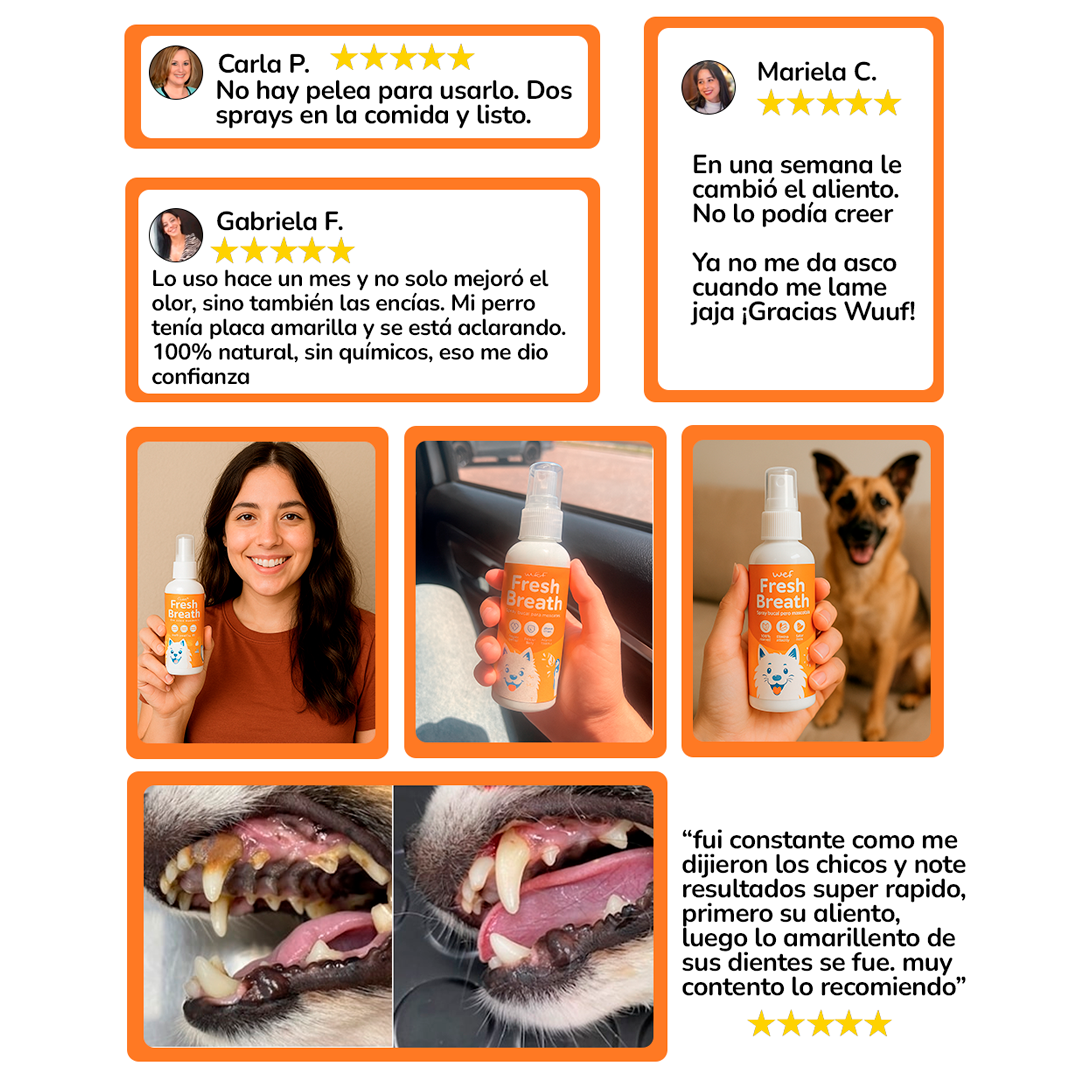 Wuuf Fresh Breath – Aliento Limpio, Boca Sana y Más Cariños sin Olor