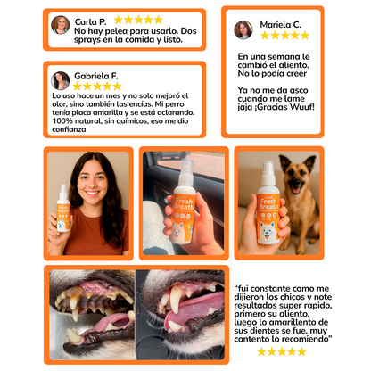 Wuuf Fresh Breath – Aliento Limpio, Boca Sana y Más Cariños sin Olor